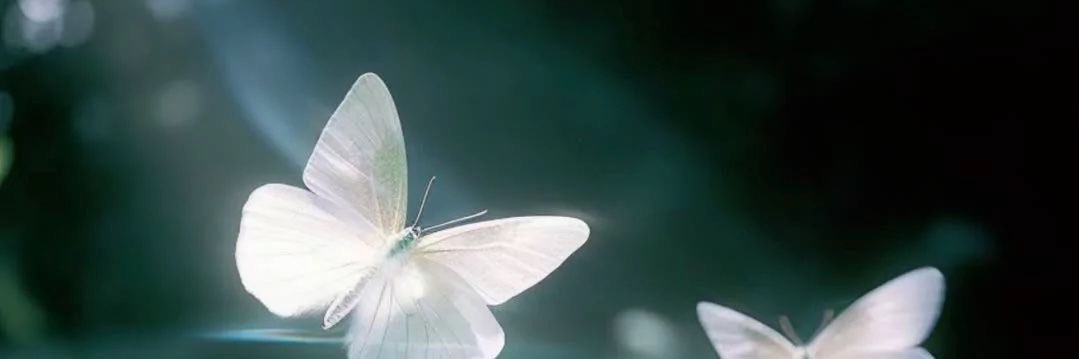 Mystoreischicky's profile banner image