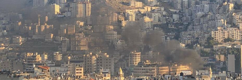 Hanadi Hamdy banner