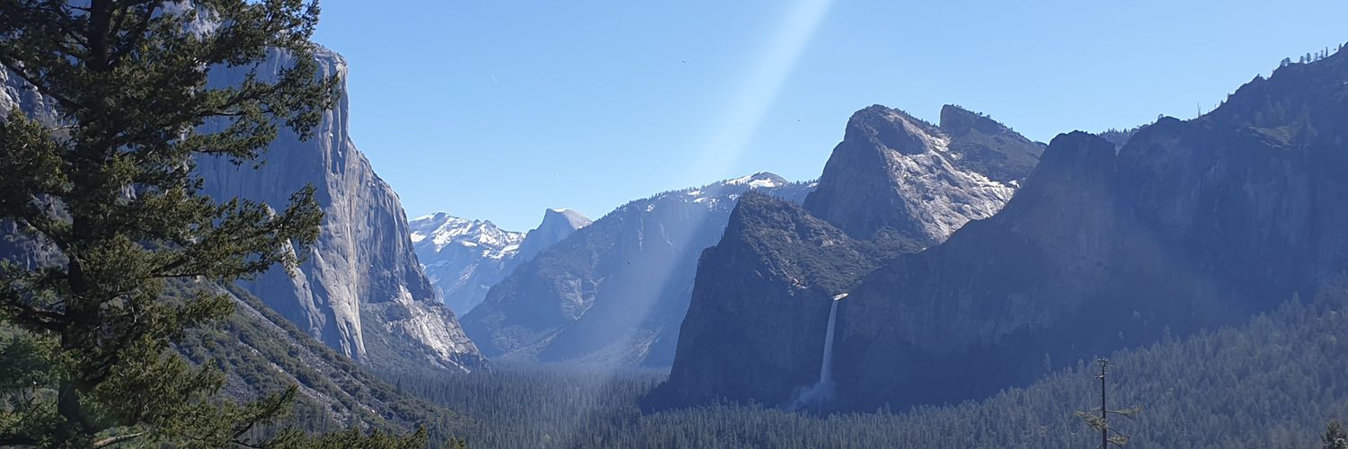 Alexandra winch banner