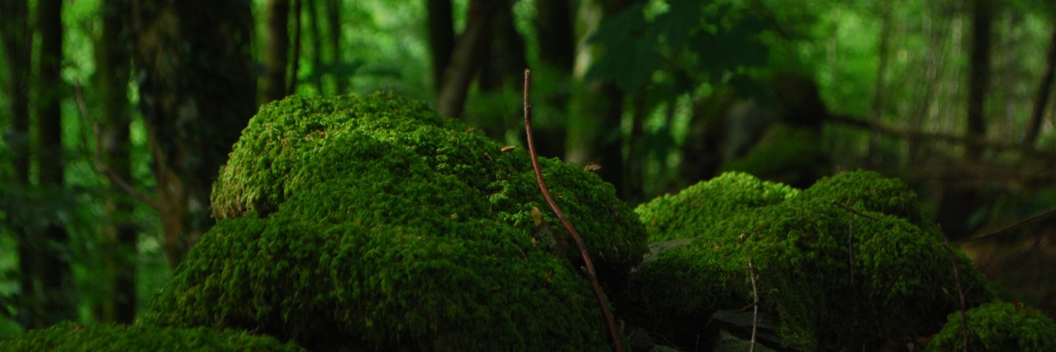 Ian.K. NaturEconomist banner