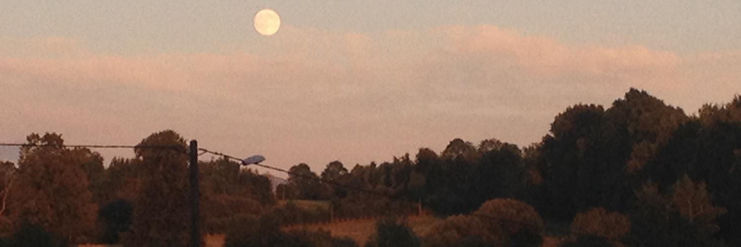 VanSwanenburgh's profile banner image