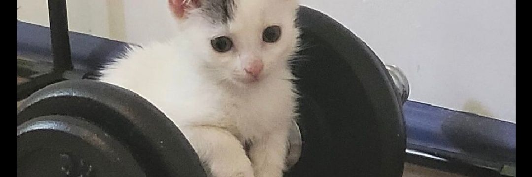 jadyx_'s profile banner image