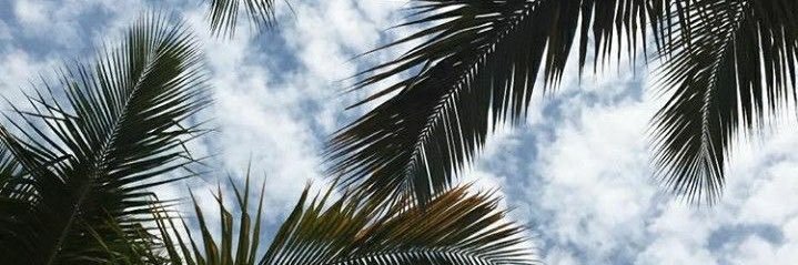 Valeriadiazmi's profile banner image