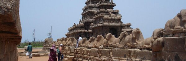 arulselvan Profile Banner