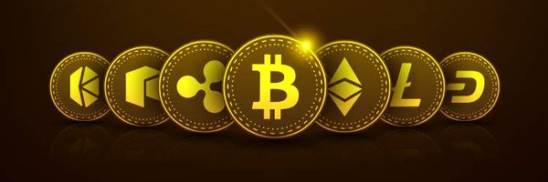 BeckKoch1 Profile Banner