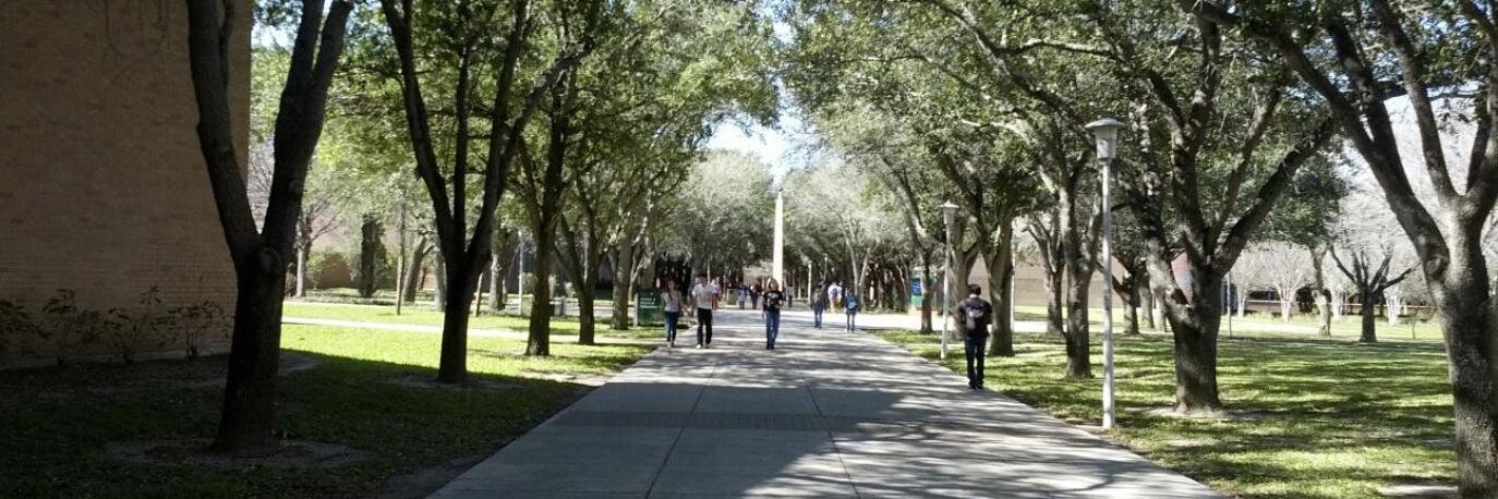 Olmo Maldonado banner