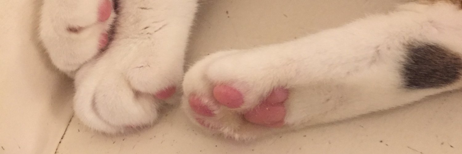 おいもさば's banner
