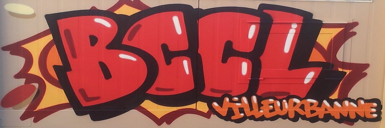 BCCL Basket Villeurbanne banner
