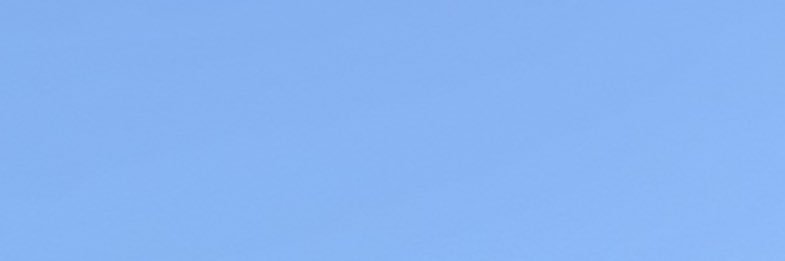 取引 banner