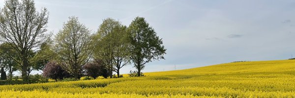 Tokeroed Profile Banner