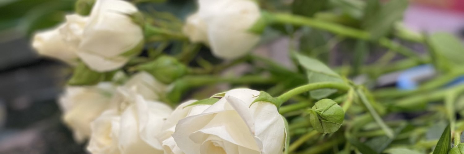 Alnuaimi_Manal's profile banner image
