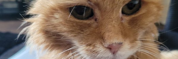 REDSJEWELS1 Profile Banner