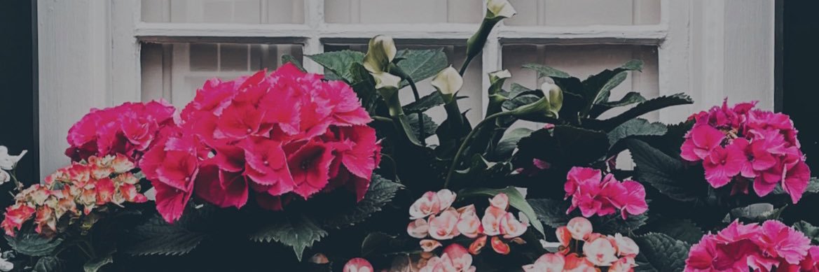 ALohrLMSW's profile banner image