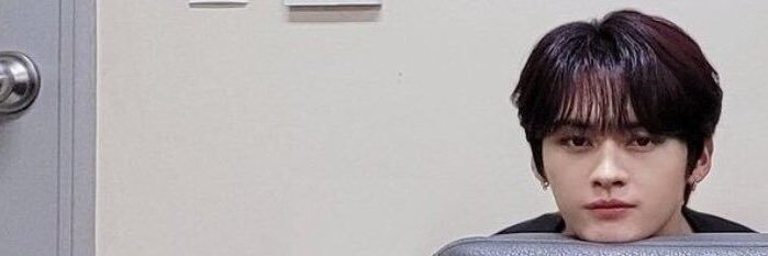 lileebitcart's profile banner image
