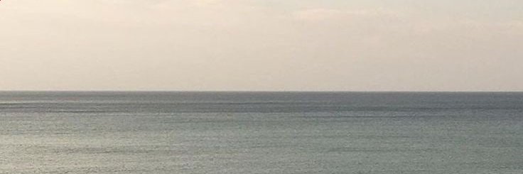 shinycrypto1's profile banner image