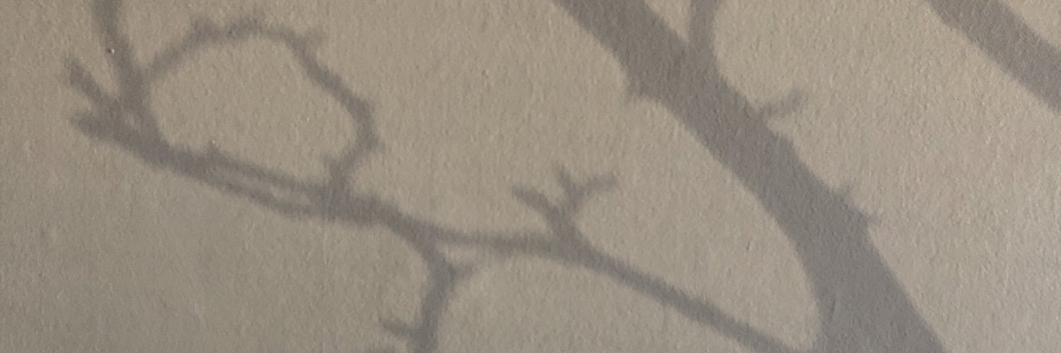 Brian Williamson banner