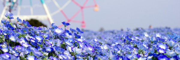 dininuy Profile Banner