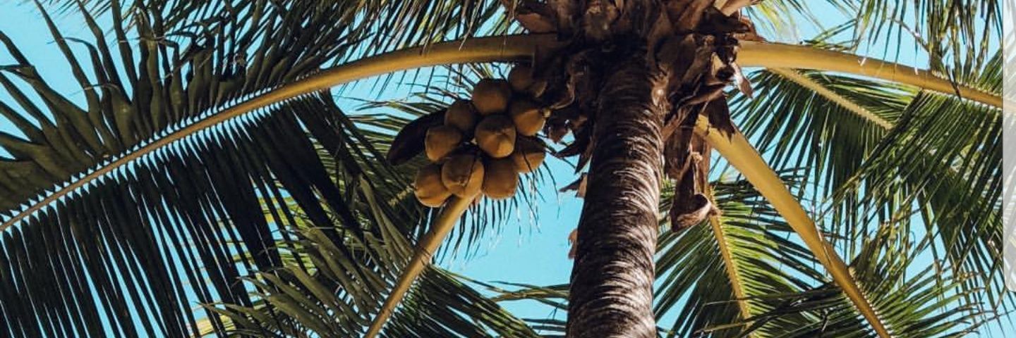 soycdelmar's profile banner image