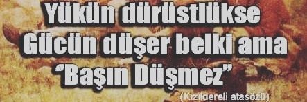 aktan55's profile banner image