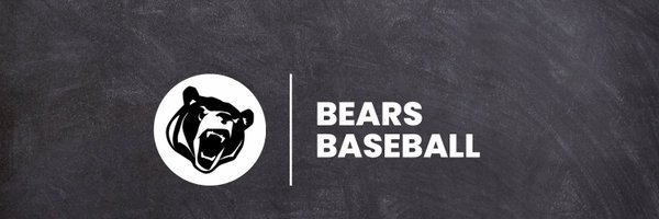 LRBaseballCamps Profile Banner