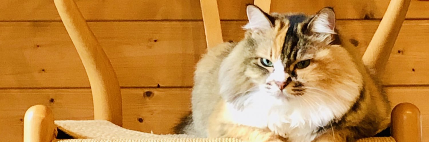 ターキー☆415。💕 banner