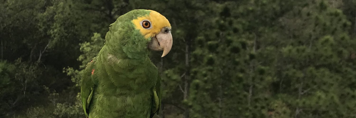 V Darby Moore banner