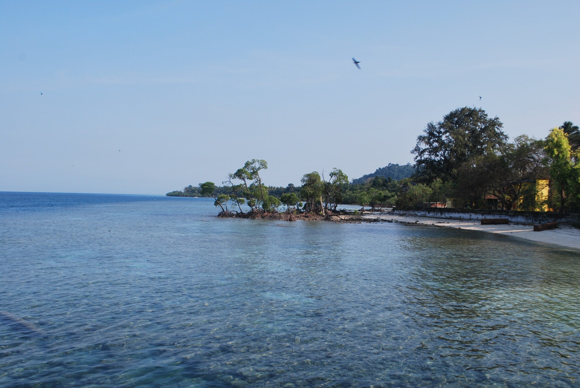 Harit Kothari banner