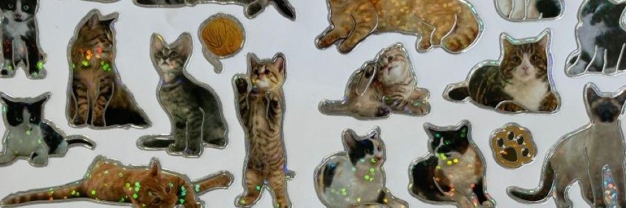 davidbrownieee's profile banner image
