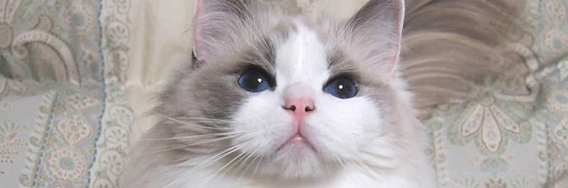 Kei010407's profile banner image