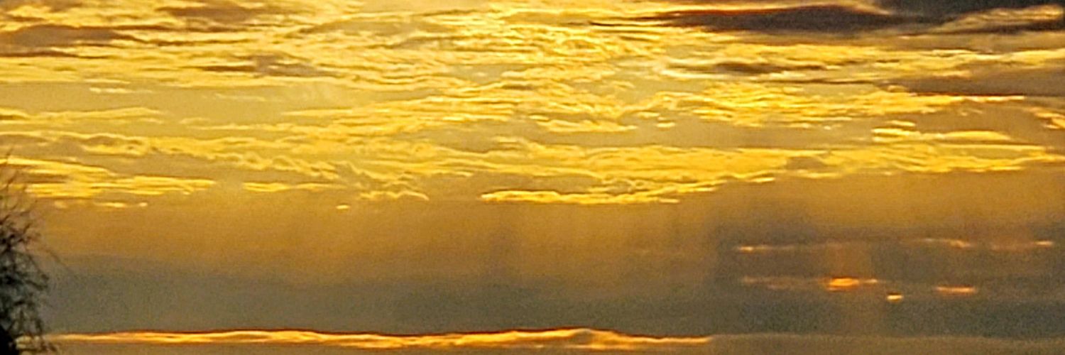 PlisDan's profile banner image
