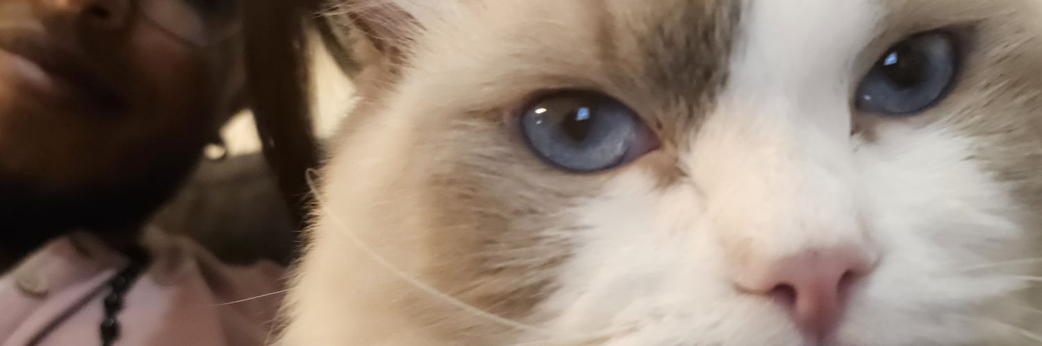 DJeffyR's profile banner image