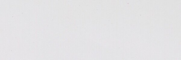 PaulWilliams_12 Profile Banner