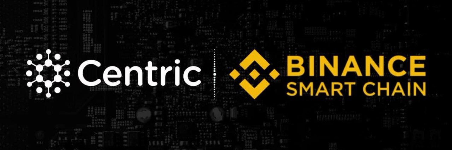 Centric Official @CentricRise©️| chat & HelpCentre banner