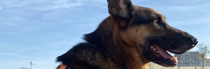 Lucía banner