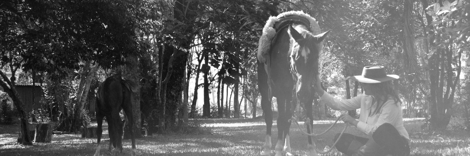 FranKuhll's profile banner image