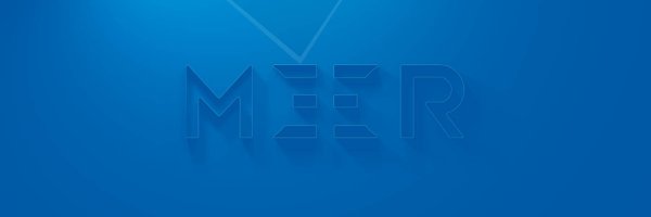 MEERsrm Profile Banner