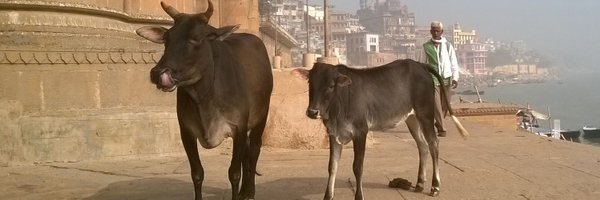 brijndd Profile Banner