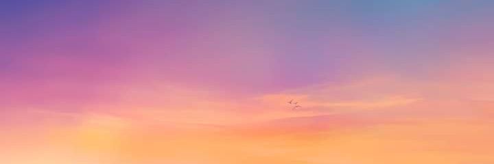 kai8024's profile banner image