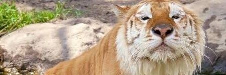 rdw_tuy's profile banner image