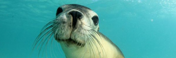 Punken20 Profile Banner