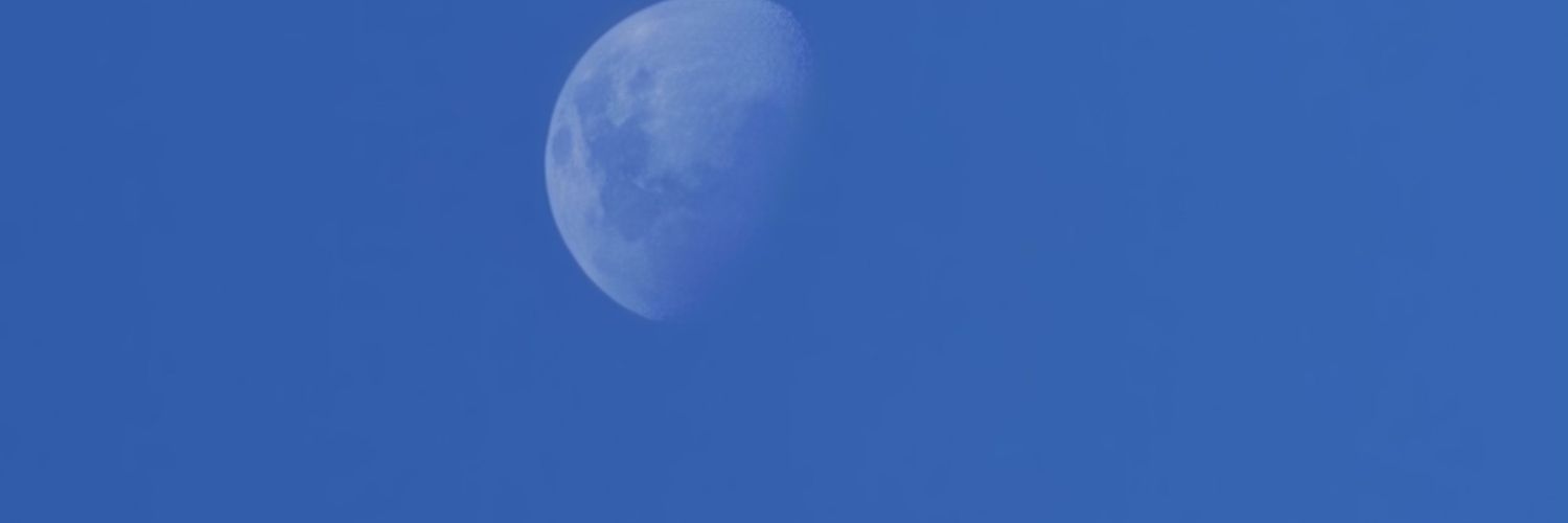 temirov's profile banner image