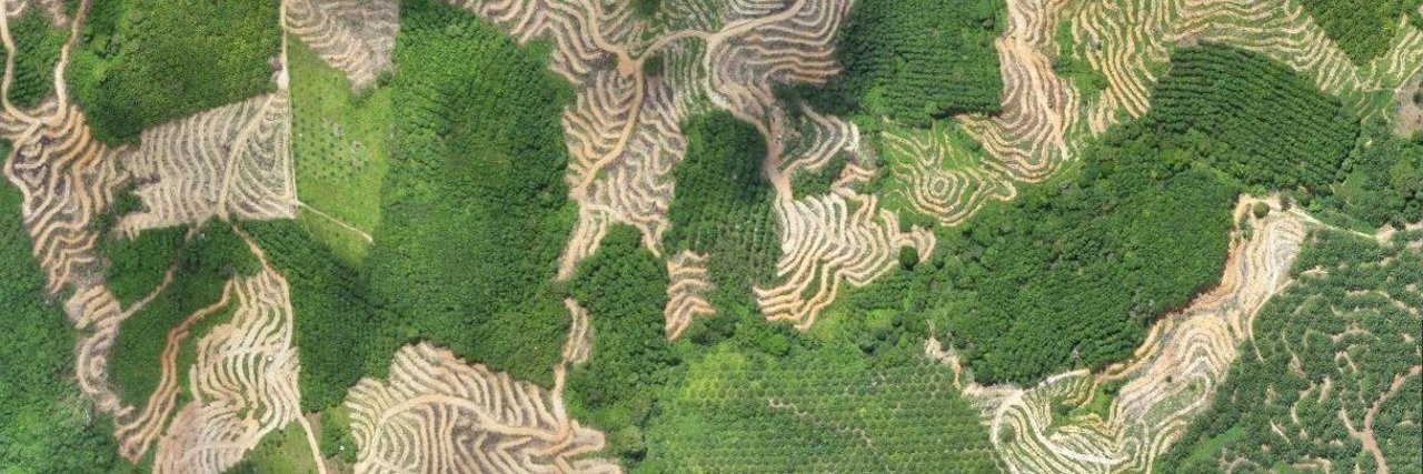 SENSOR Project banner