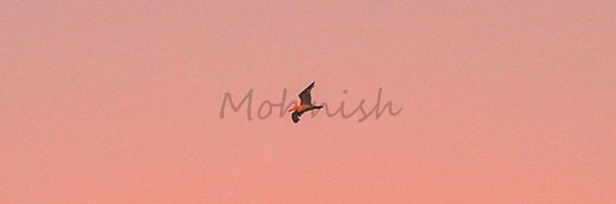 mohnishcansing's profile banner image
