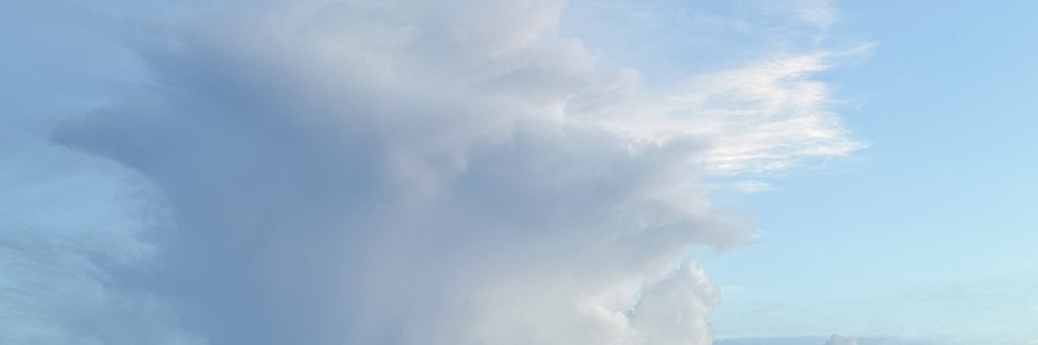 sophiegrae's profile banner image