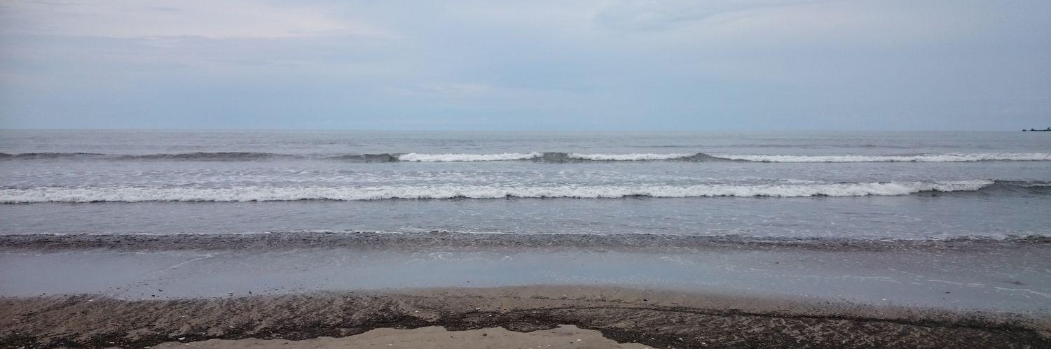 paulina sanchez banner