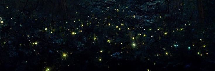 midnightcloti's profile banner image