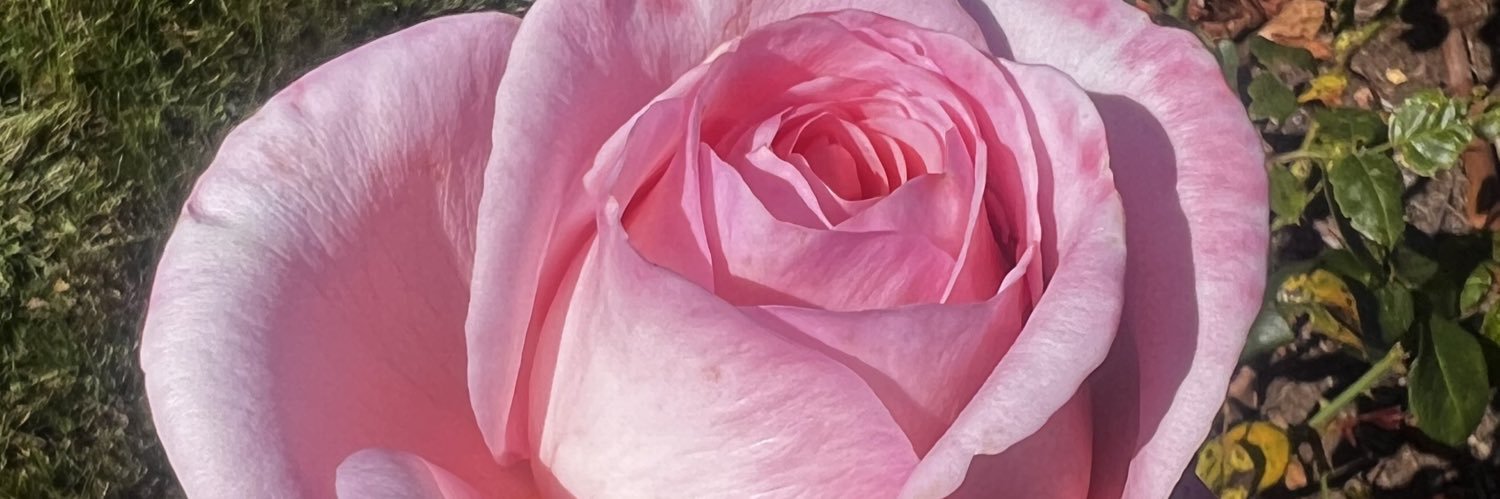 suevey72's profile banner image