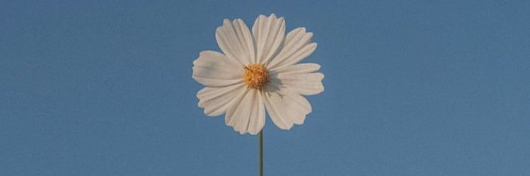 CamiGigenaaa's profile banner image