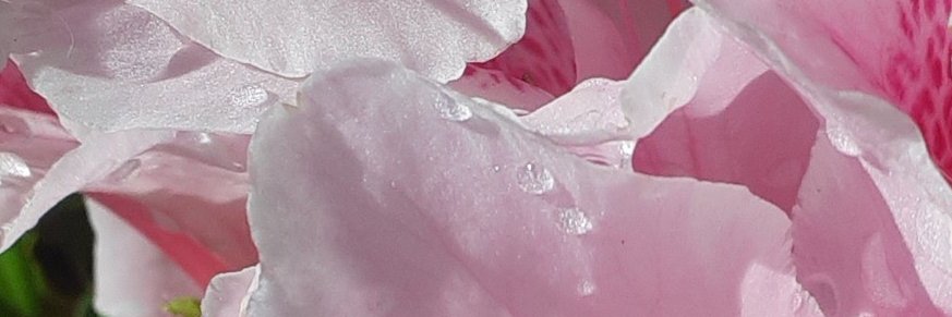 975313579's profile banner image