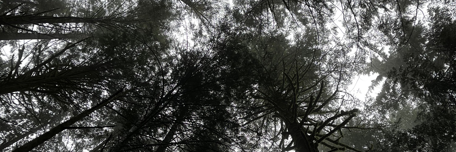 Benjamin Zubaly banner